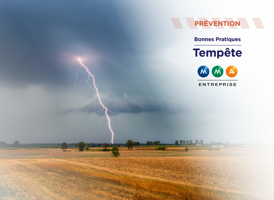 tempete-3