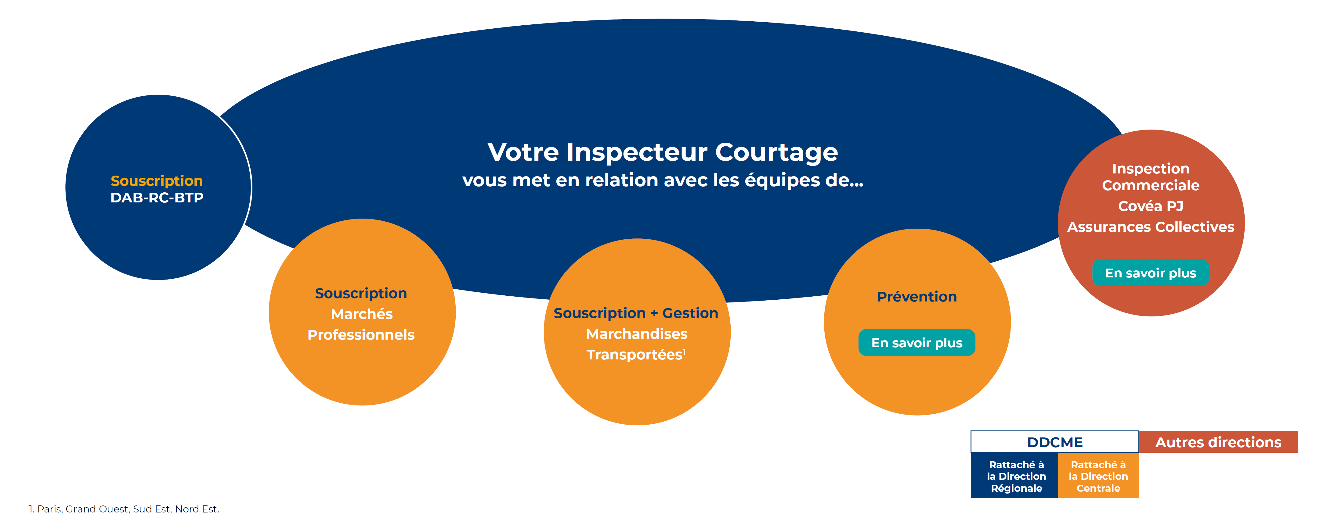 Organisation en région